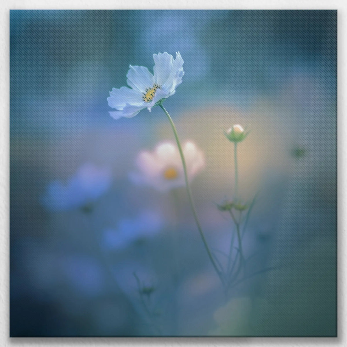 LW-070W070