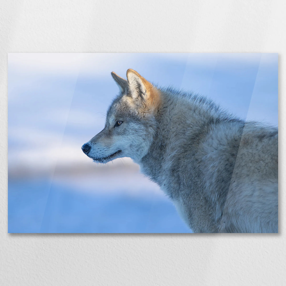 AC-075W050