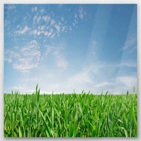 AL-030W030