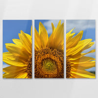 AL-150R100