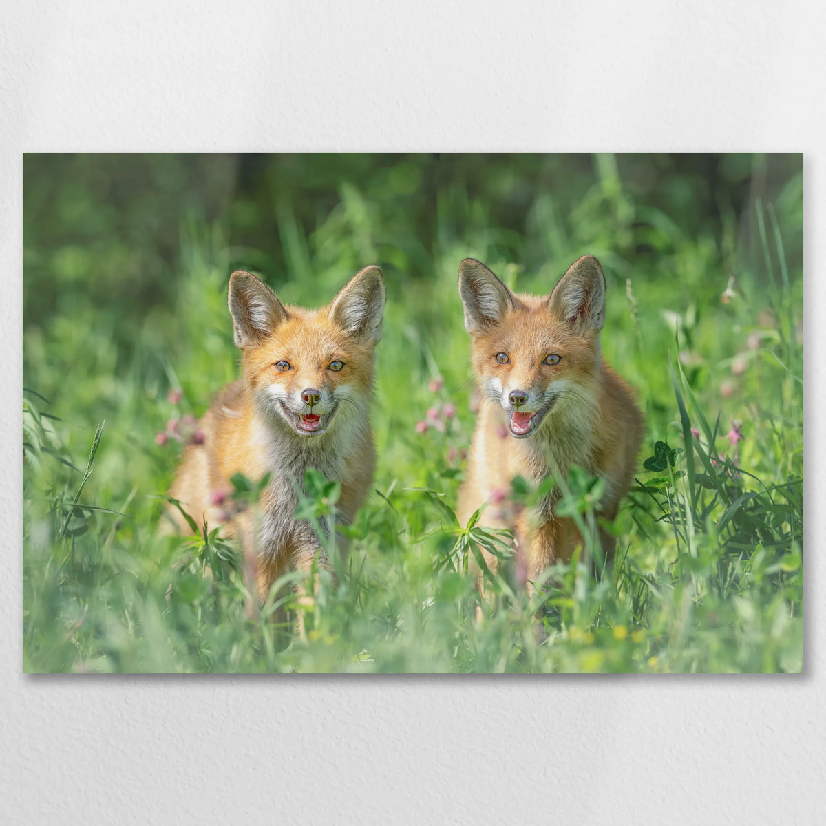 AL-075W050
