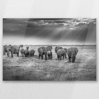 AL-060W040