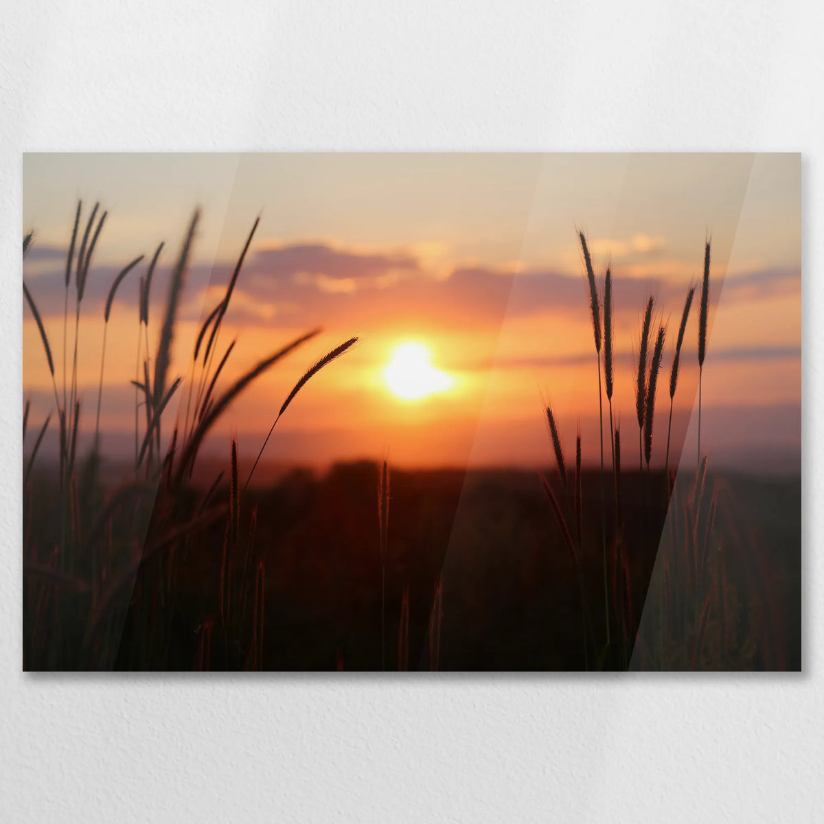 AC-075W050