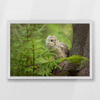 PW-060W040