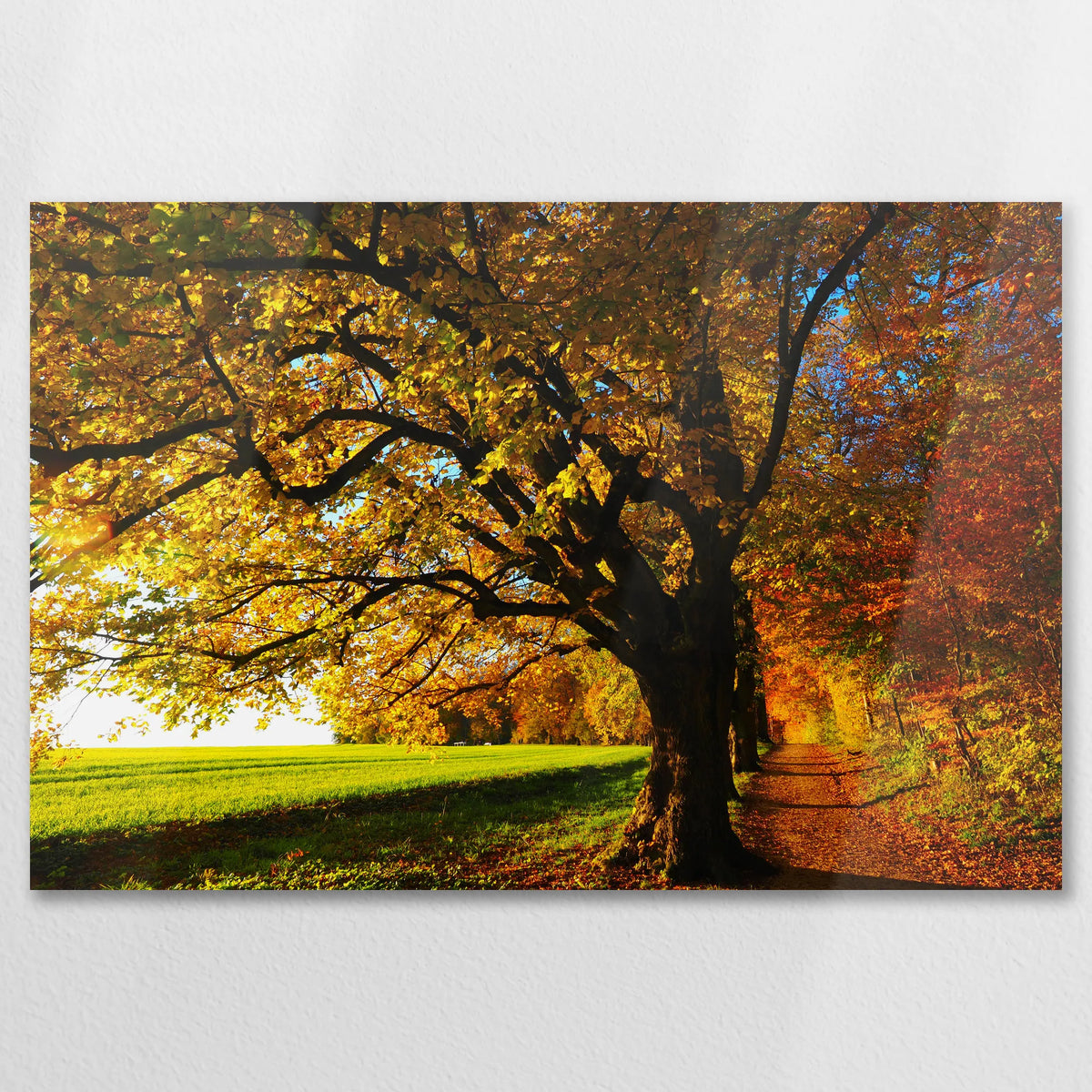 AL-075W050
