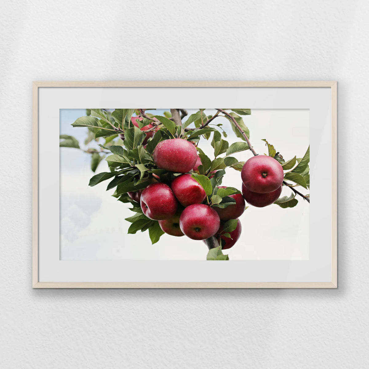 PNP093W062