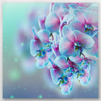 AC-060W060