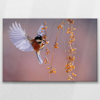 LW-075W050