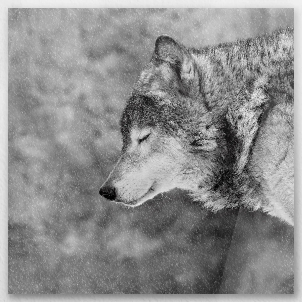 AC-030W030