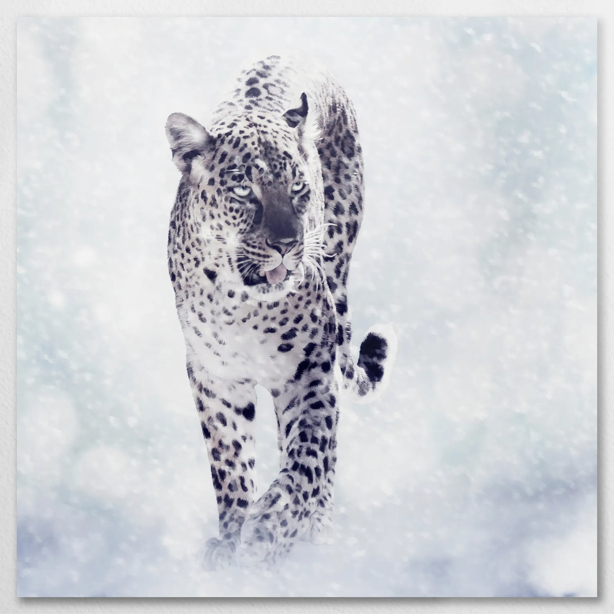 AL-080W080