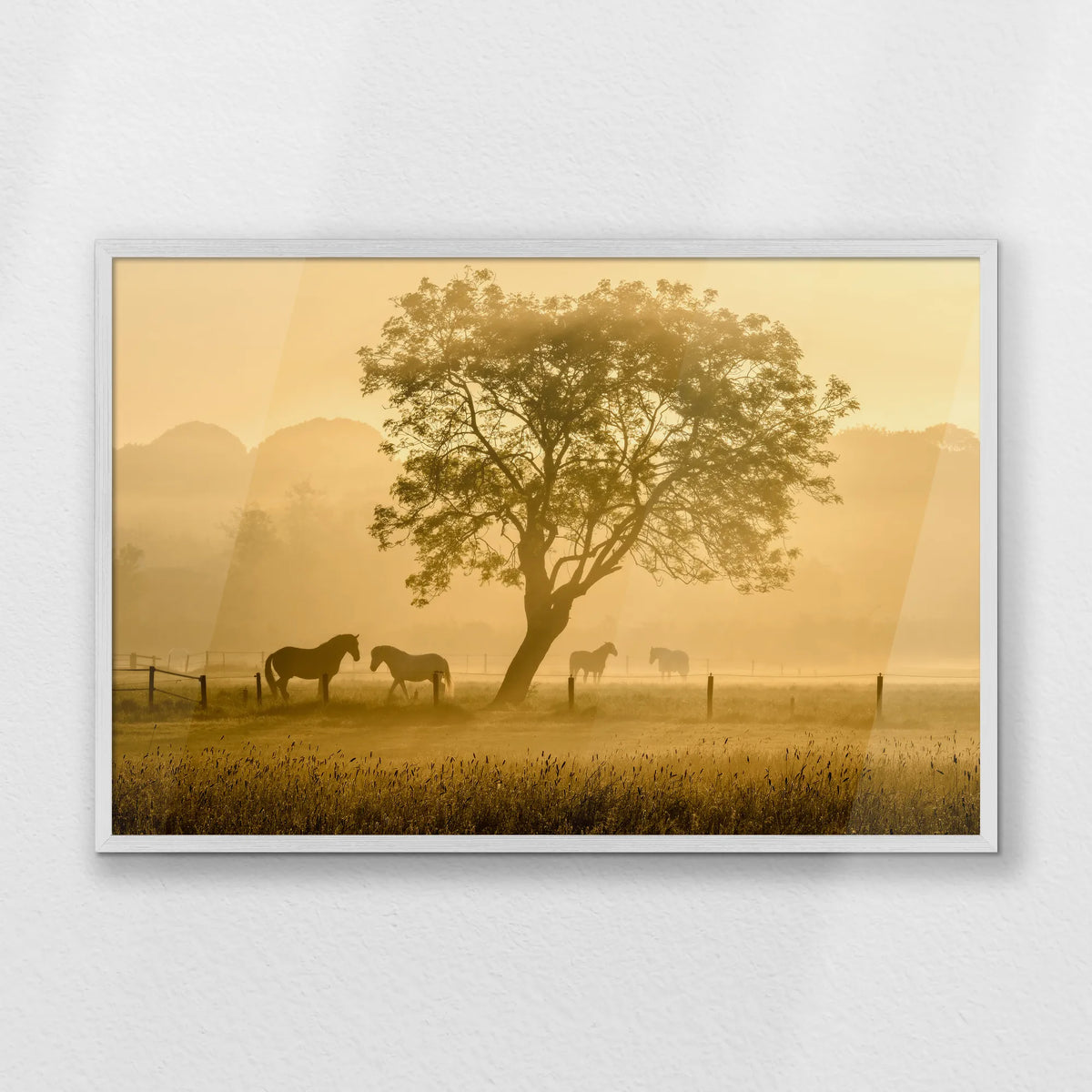 PW-093W062