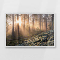 PW-093W062