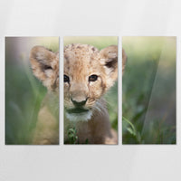 AC-180R120