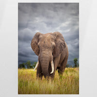 PO-080W120