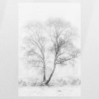 PO-020W030