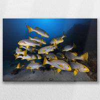 LW-045W030