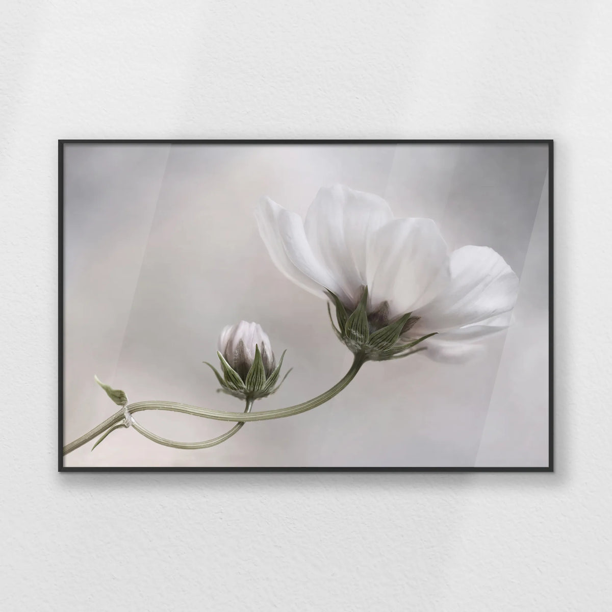 PB-093W062