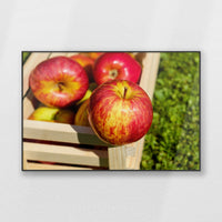 PB-120W080