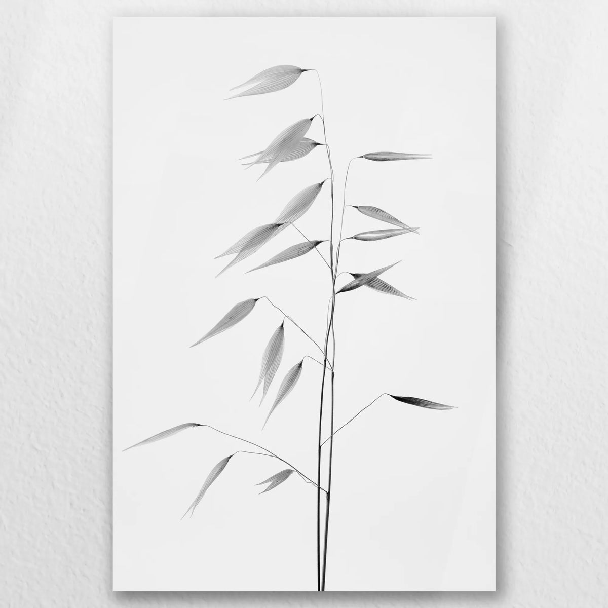 AC-030W045