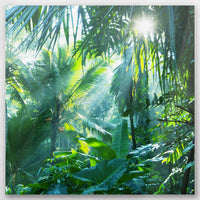 AL-050W050