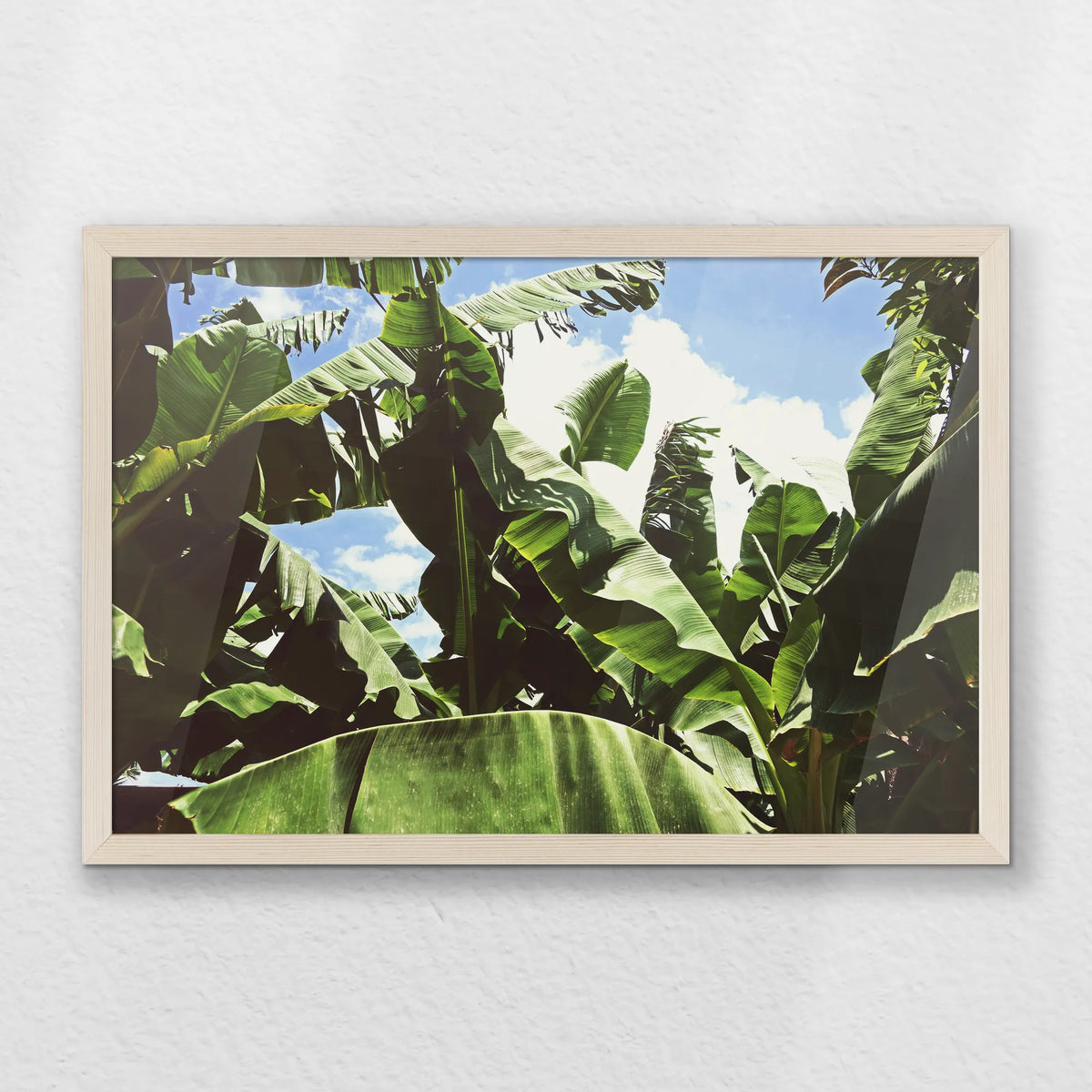 PN-060W040