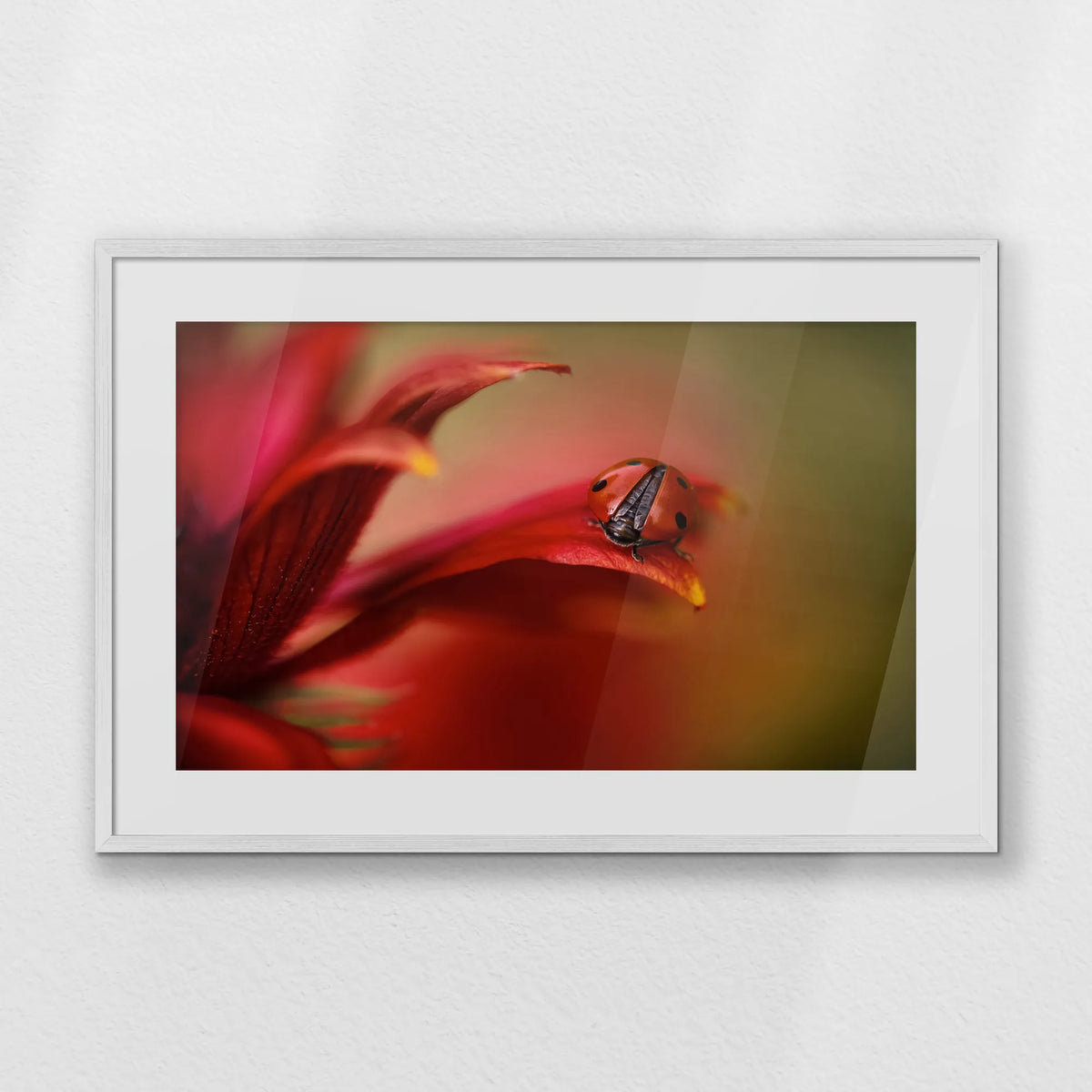 PWP093W062
