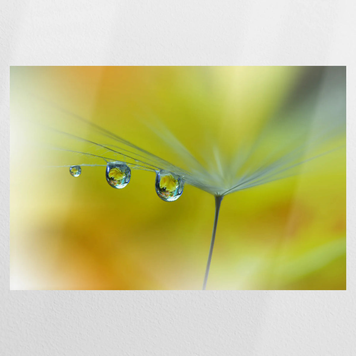 PO-120W080