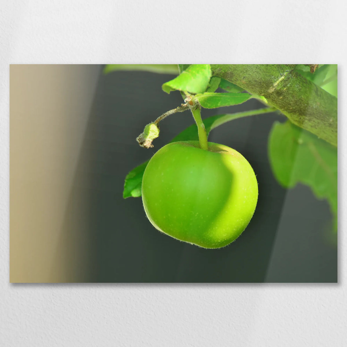 AL-075W050