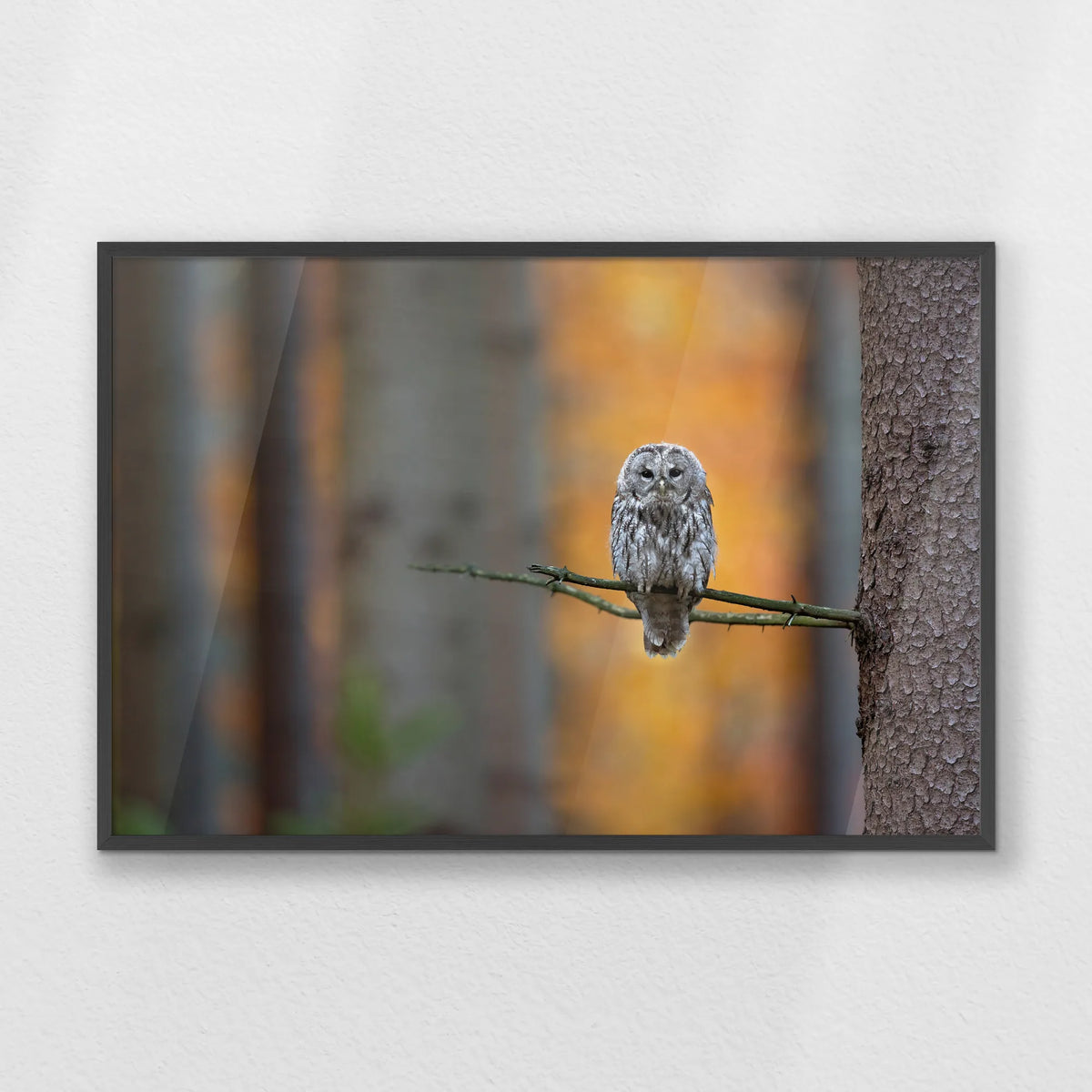 PK-100W070