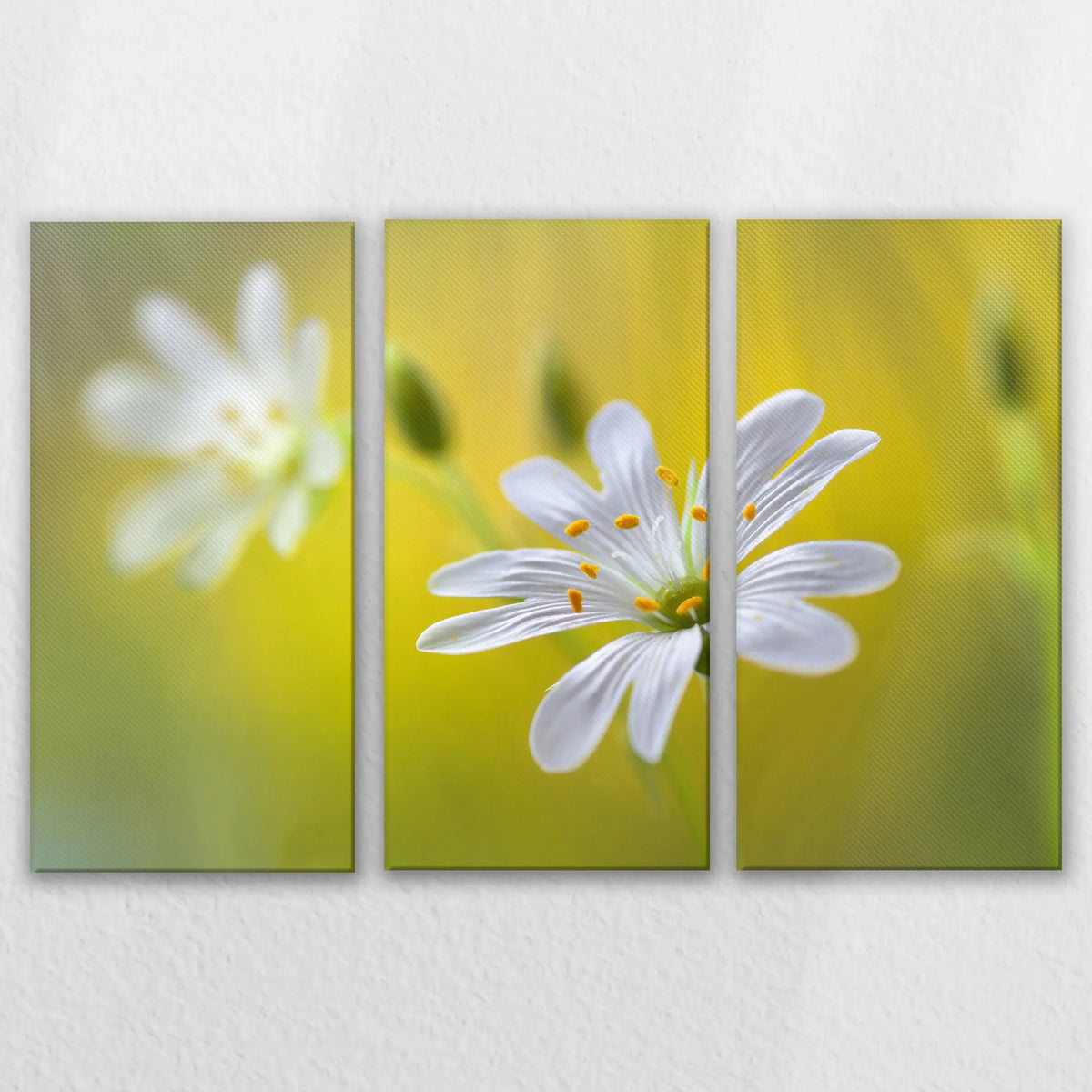 LW-120R080