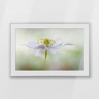 PSP120W080