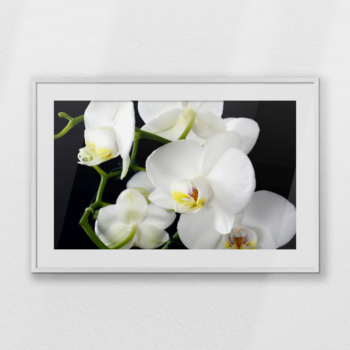 PWP100W070