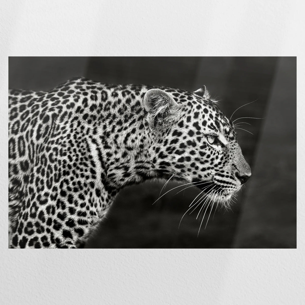 PO-075W050