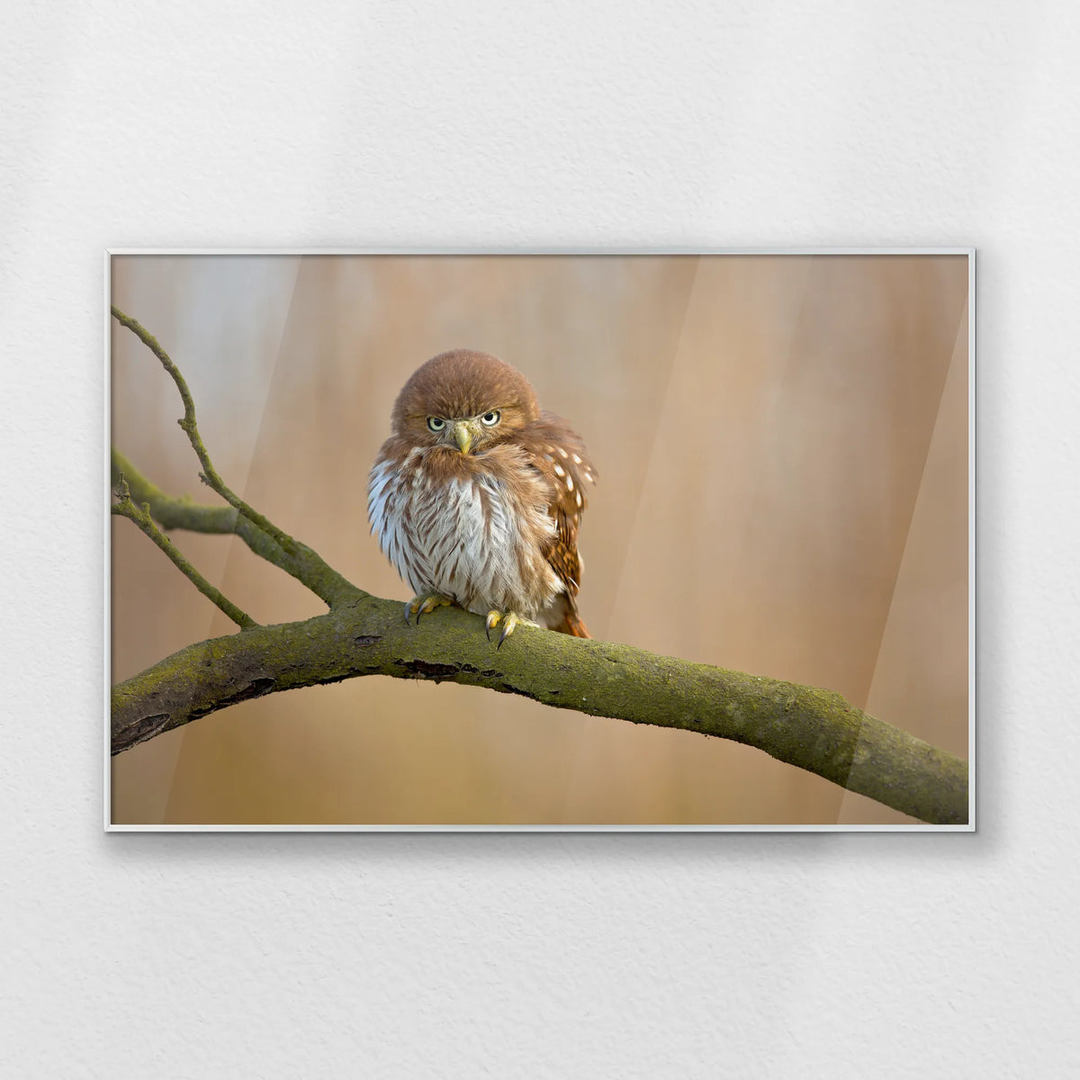 PS-100W070