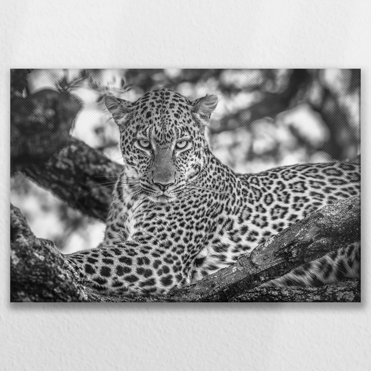 LW-090W060