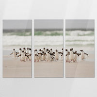 AC-180R120
