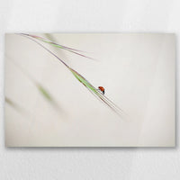 AL-045W030