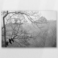 AC-060W040