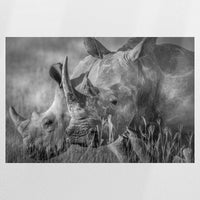 PO-090W060