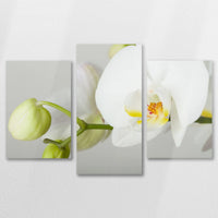 AL-090T060