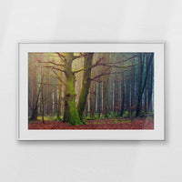 PSP100W070