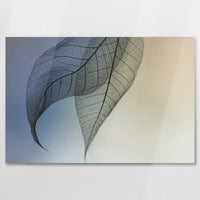 AC-075W050
