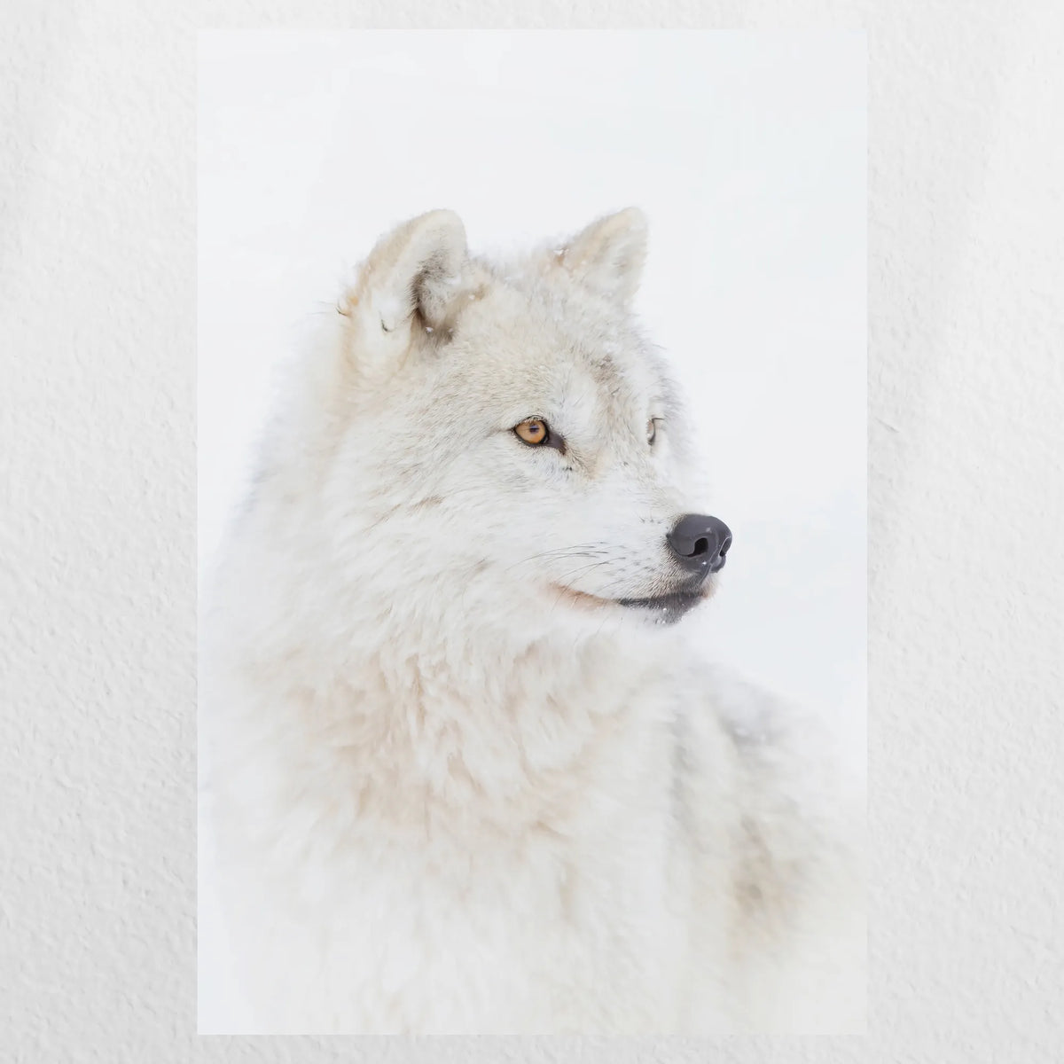 PO-020W030