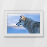PWP100W070