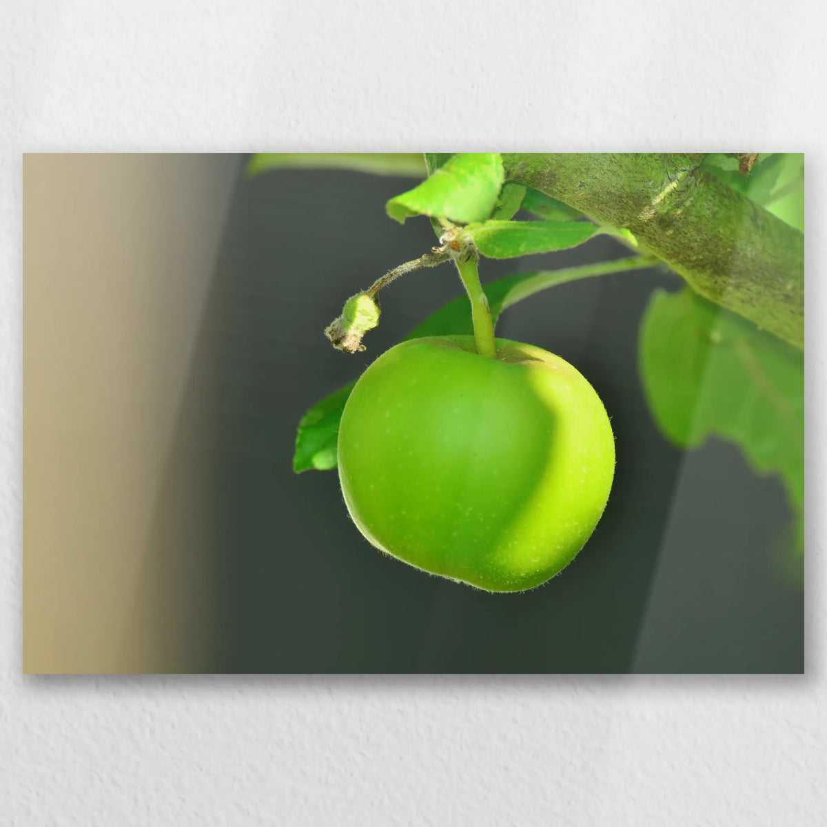AL-060W040