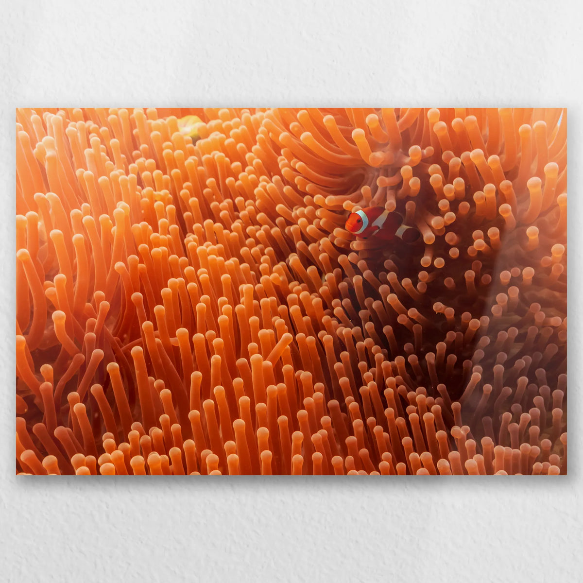 AL-030W020
