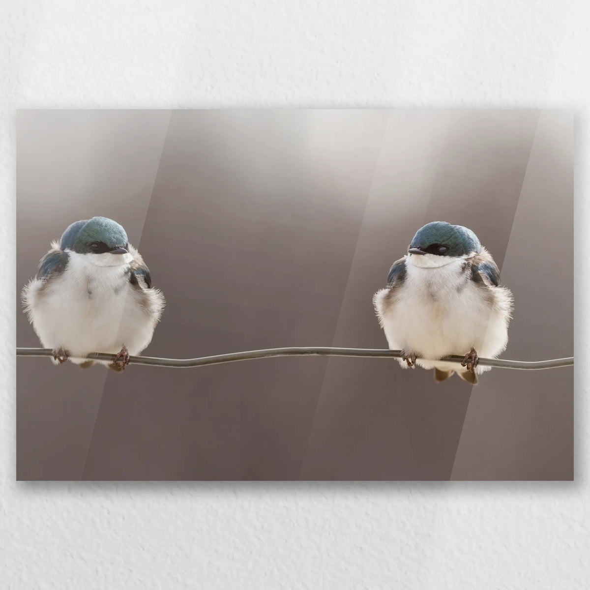 AC-030W020