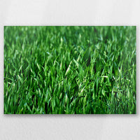AL-030W020