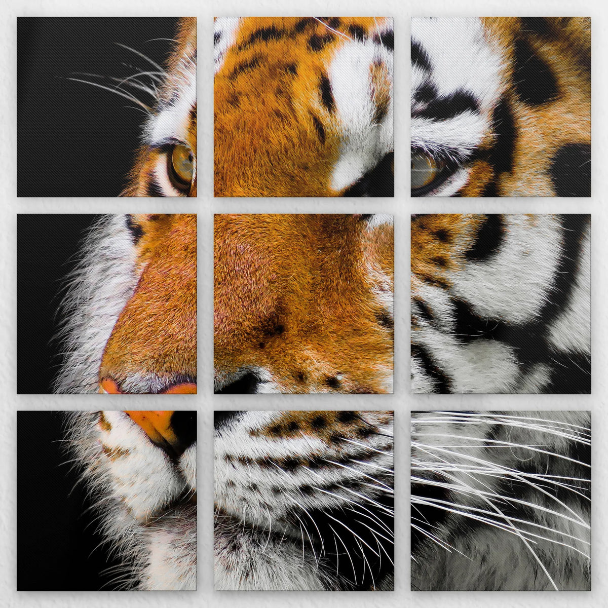 LW-270Z270