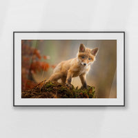 PBP100W070